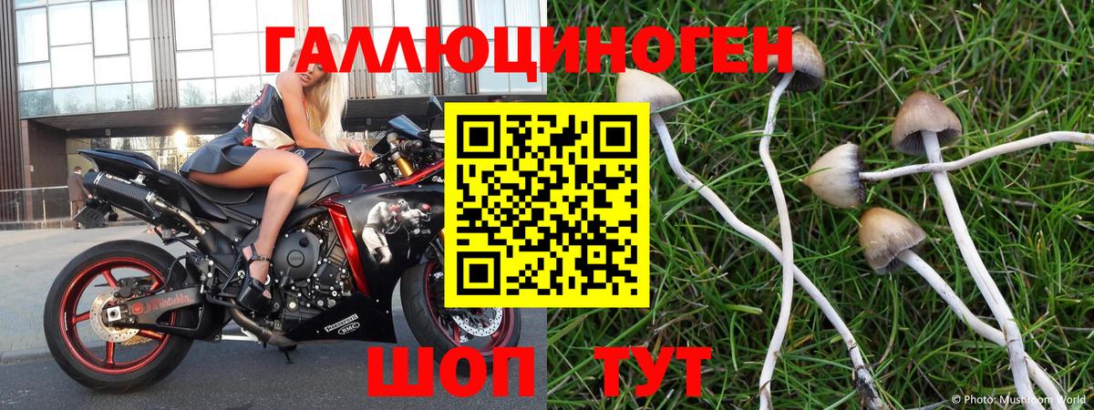 Галлюциногенные грибы MAGIC MUSHROOMS Хабаровск